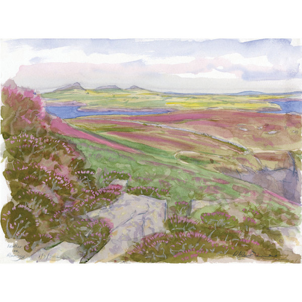 Heather on Ramsey by Rob Davies