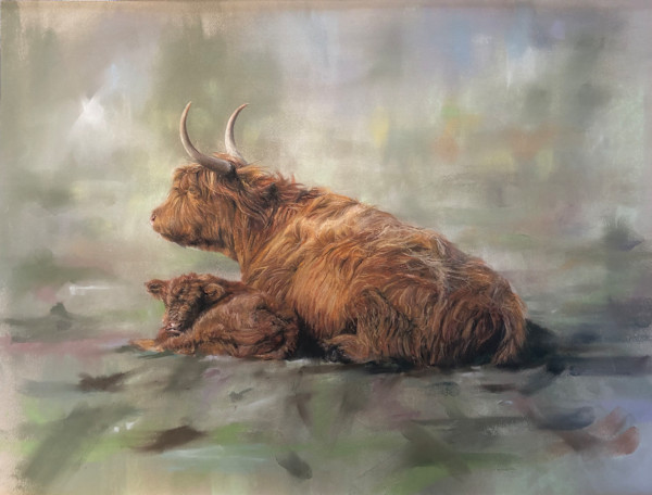 Highland Cow and Calf by Richard RensonWise