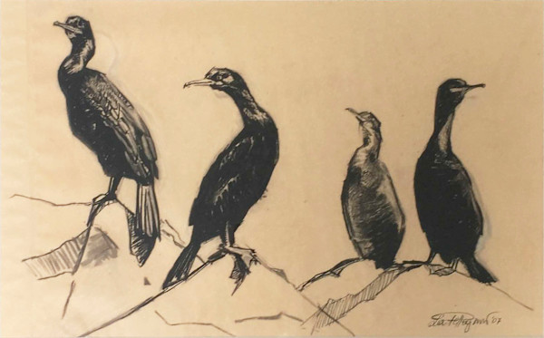 Shag pair by Lia Pellegrini