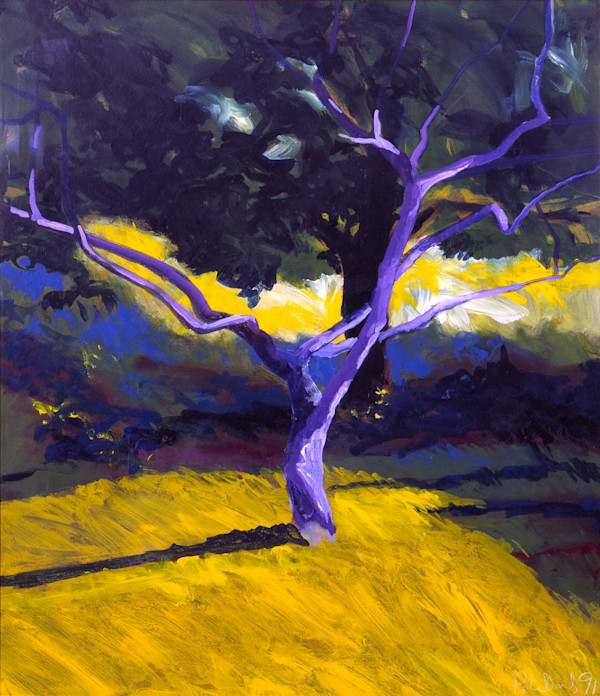 Apple Tree in my Garden by Peter Daniels
