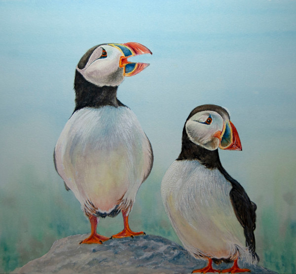 Puffins on Parade by Barry Woodman