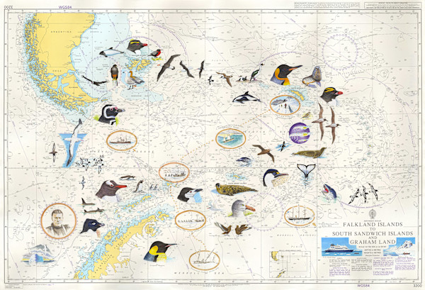 Shackleton Chart by Ian Bullock