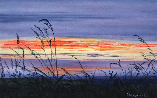 View over the Hedge, Mathry to Abereiddy by Barry Woodman