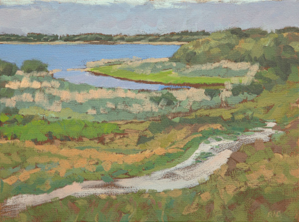Kenfig Lake from the West by Rob Davies, Image 1.