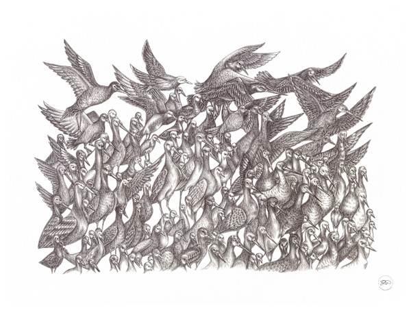 Walk of Birds by Liz Waterhouse