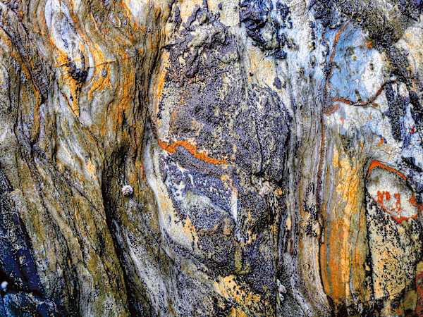 Rocks at Whitesands No. 1 by Maggie Studholme
