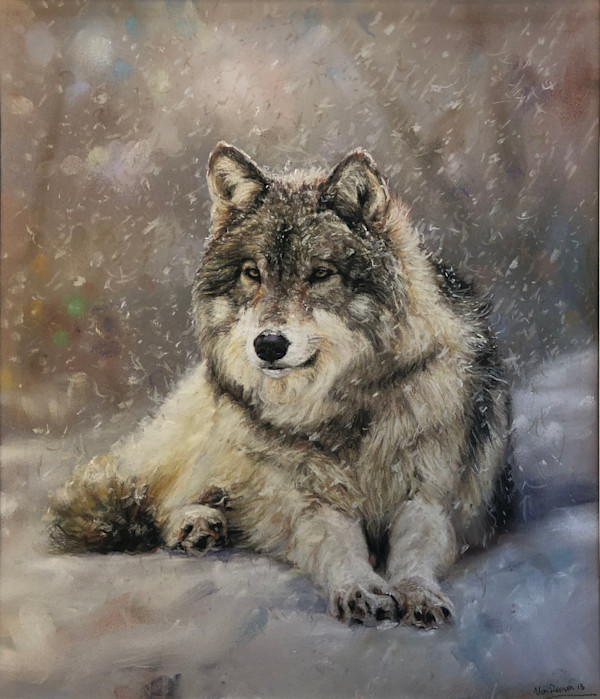 Wolf in Snow by Richard RensonWise