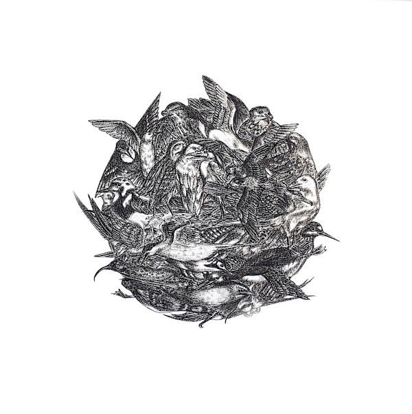 Ball of Birds II by Liz Waterhouse