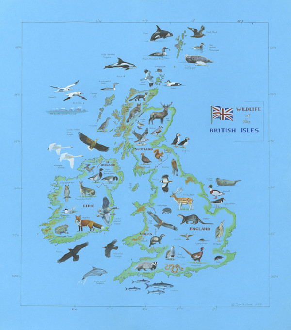 Wildlife of the British Isles by Ian Bullock