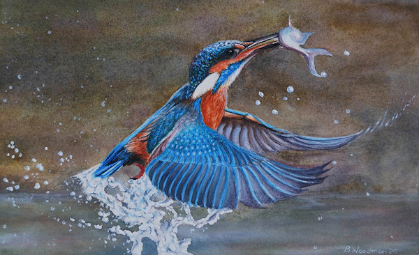 Kingfisher - Catch of the day by Barry Woodman
