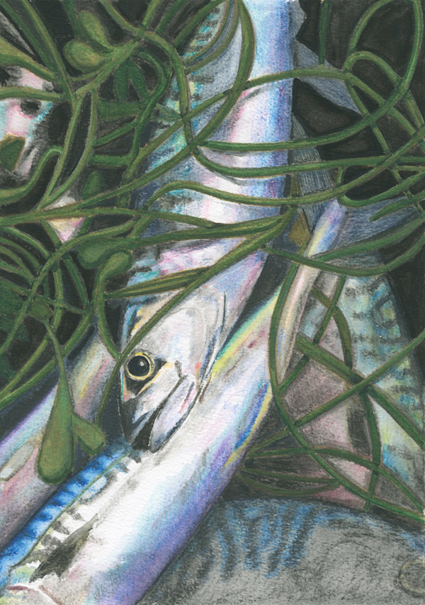 The Catch by Steven Roe, Image 1.