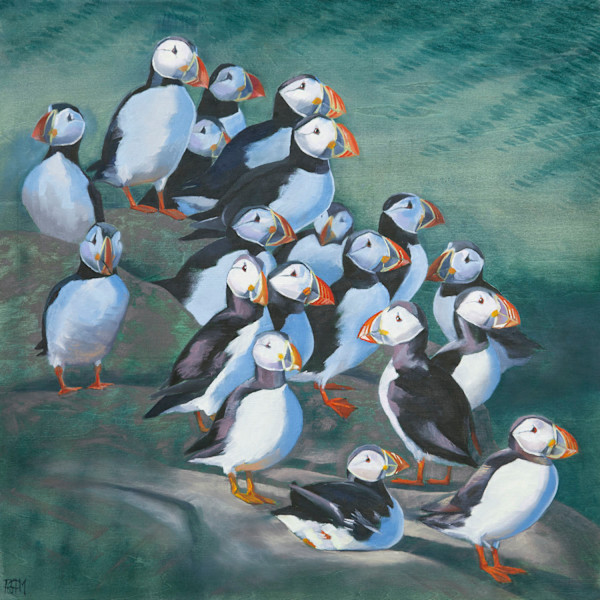 Puffins by Philippa Mitchell, Image 1.