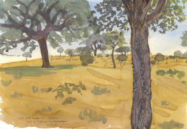 Cork Oak Savanna, East of Plasencia by Rob Davies