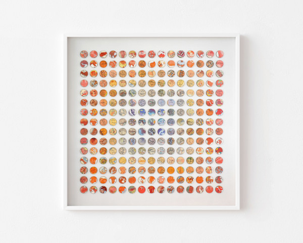 Equator by Amelia Coward