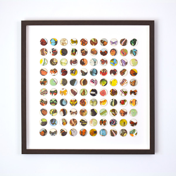 Mariposa by Amelia Coward, Image 13.
