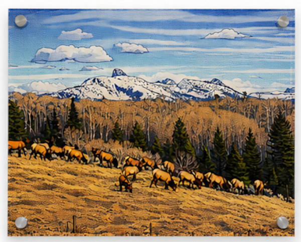 High Country Haven by Adam D'Illard, Image 1.