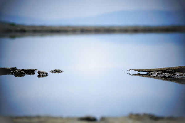 Eden Landing Ecological Reserve by Brechin "Miss B" Flournoy, Image 1.
