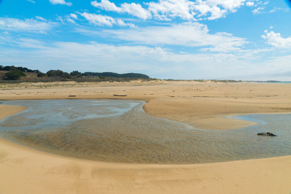 California Estuary at Gazos Creek State Beach by Brechin "Miss B" Flournoy, Image 1.