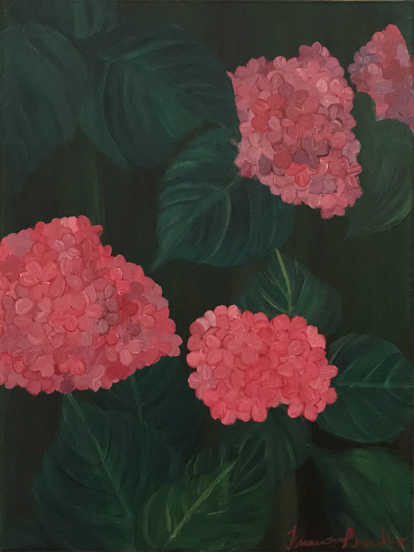 Pink Hydrangeas by Francesca Bandino
