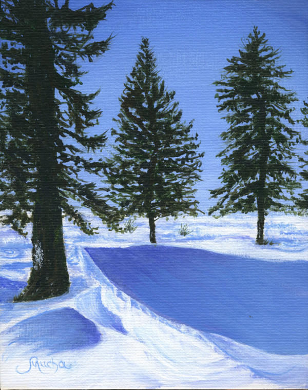 Pine trees in Winter by Artist: Sandra Mucha