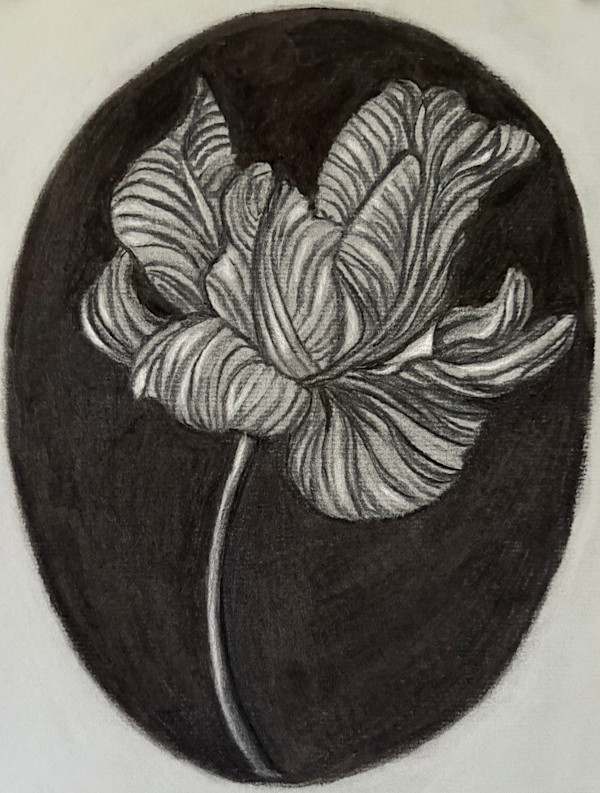Lines of a Flower by Amy Mills, Image 1.