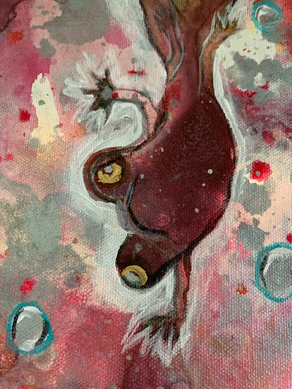 Fire Salamanders de la Sangre by Laura McClanahan, Image 1.