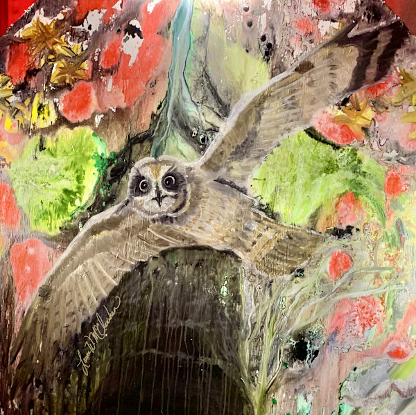 Pueo by Laura McClanahan, Image 1.