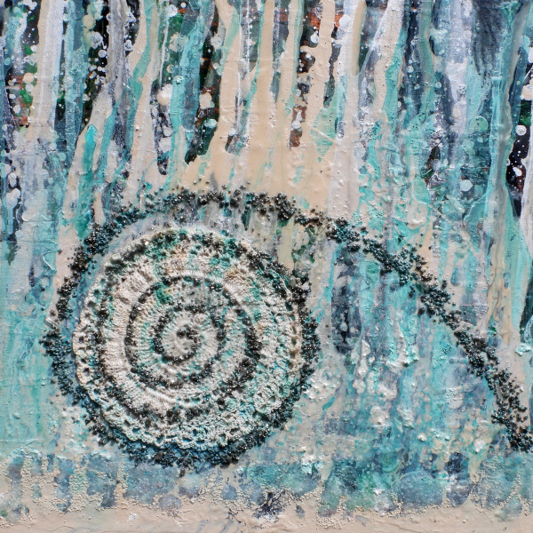 Pyrite Ammonite by Laura McClanahan