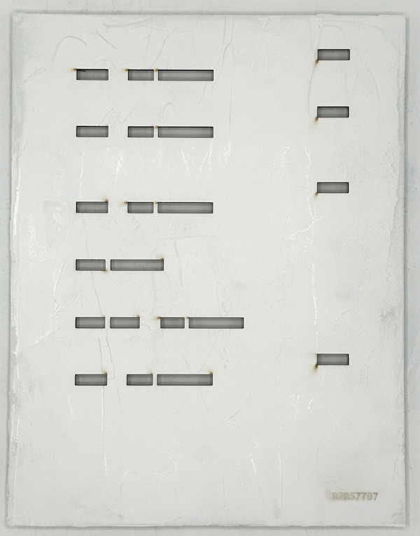 Redacted - 02857707 by Karrie Hovey