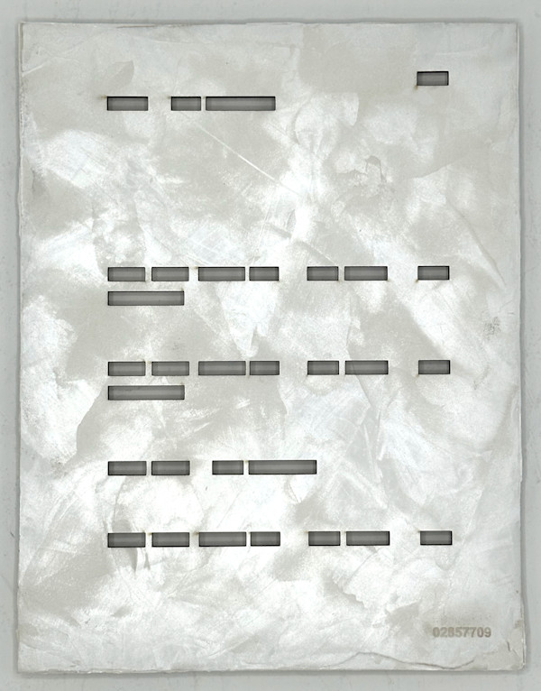 Redacted - 02857709 by Karrie Hovey