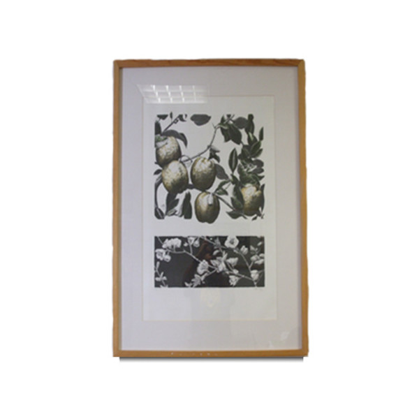 Membrillos by María Sada, Image 1.