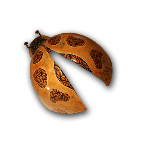 Catarina naranja by Desconocido, Image 1.