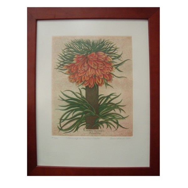 Homenaje a Basilius Besler by Eugenia Marcos, Image 1.