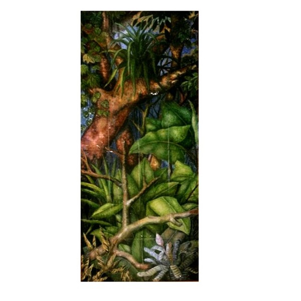 Selva by Fernando Mariscal, Image 1.