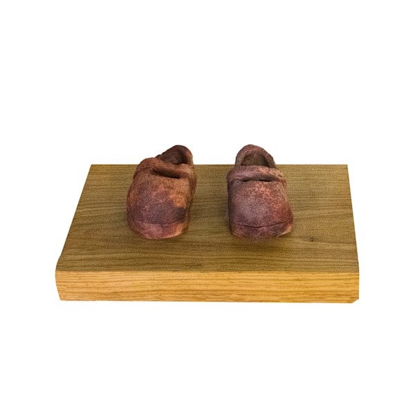 Zapatitos migrantes by Marisa Boullosa, Image 1.