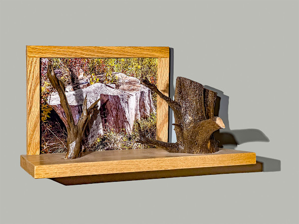 Map 14 - Tree Stumps by Eva Capobianco, Image 4.