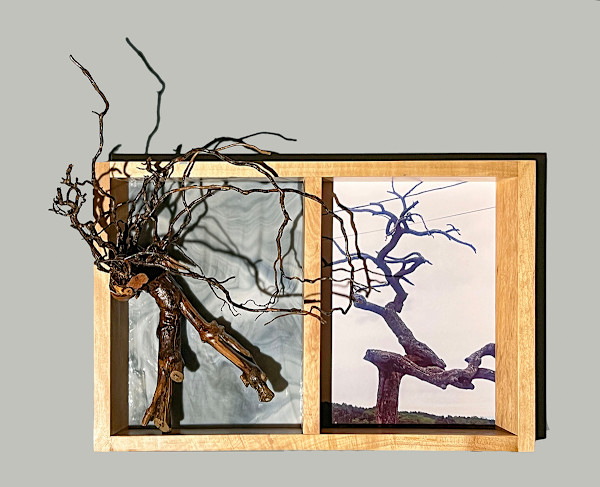 Map 22 - Gnarly Tree by Eva Capobianco, Image 9.