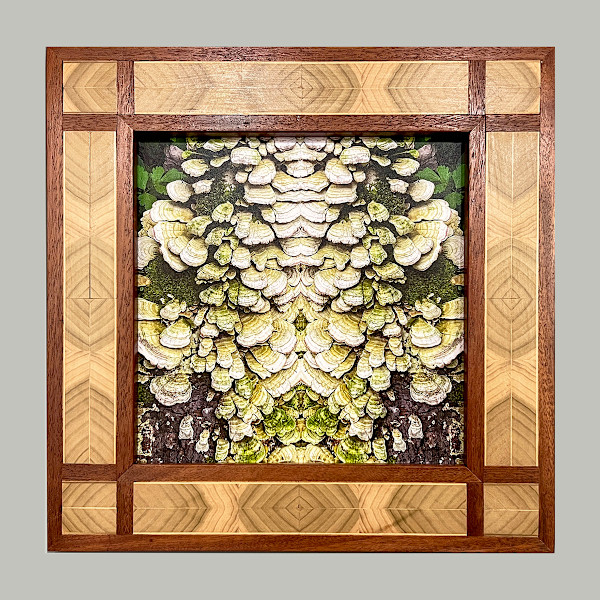 Map 25 – Book Matched, Dark Version by Eva Capobianco, Image 12.