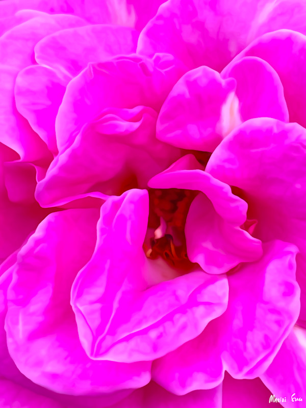 Mystic Bloom (2025) by Mariri Sun, Image 1.