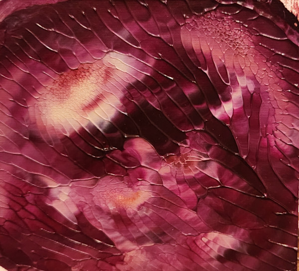 Red Bloom II by Marleen Cloutier, Image 1.