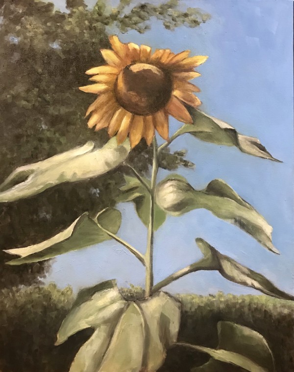 Sunflower I by Bradley Leslie Art