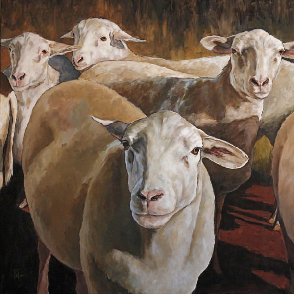EWES IN THE PADDOCK by Joan Frimberger