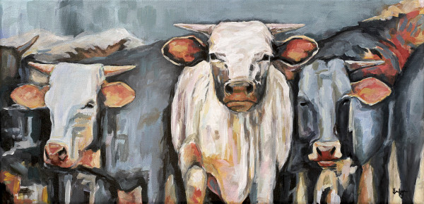 YOUNG STEERS by Joan Frimberger