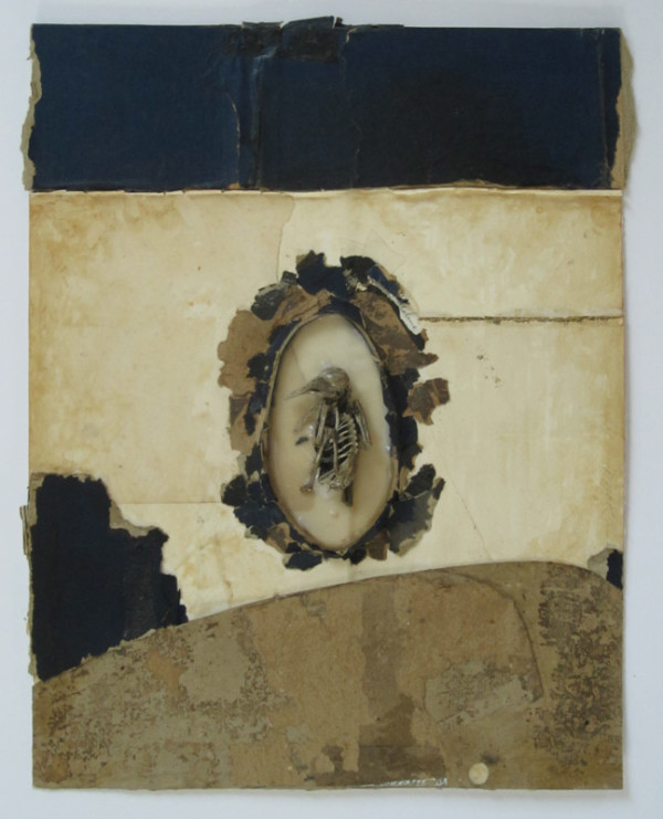 Bones (Death) by Brenda Stumpf Studios