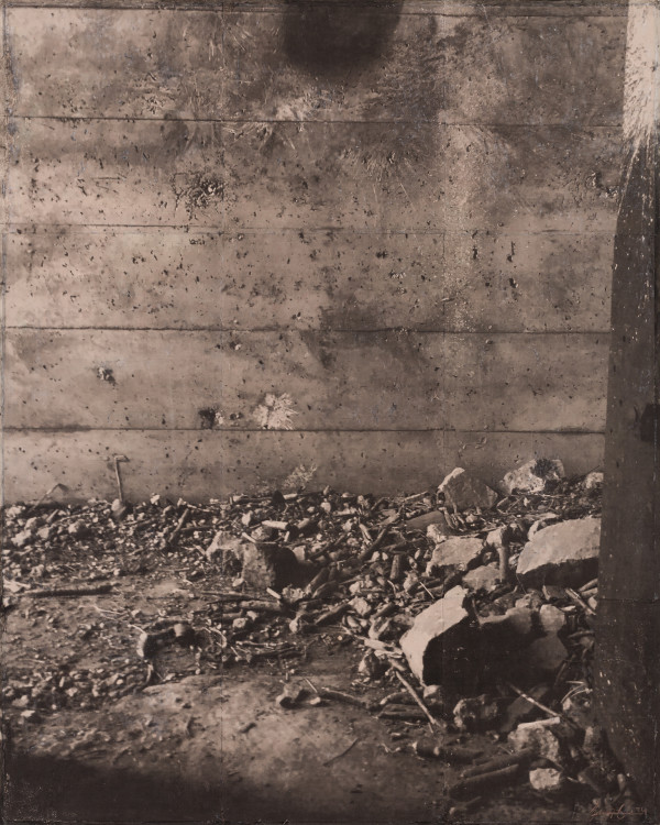 Detritus by Brenda Stumpf