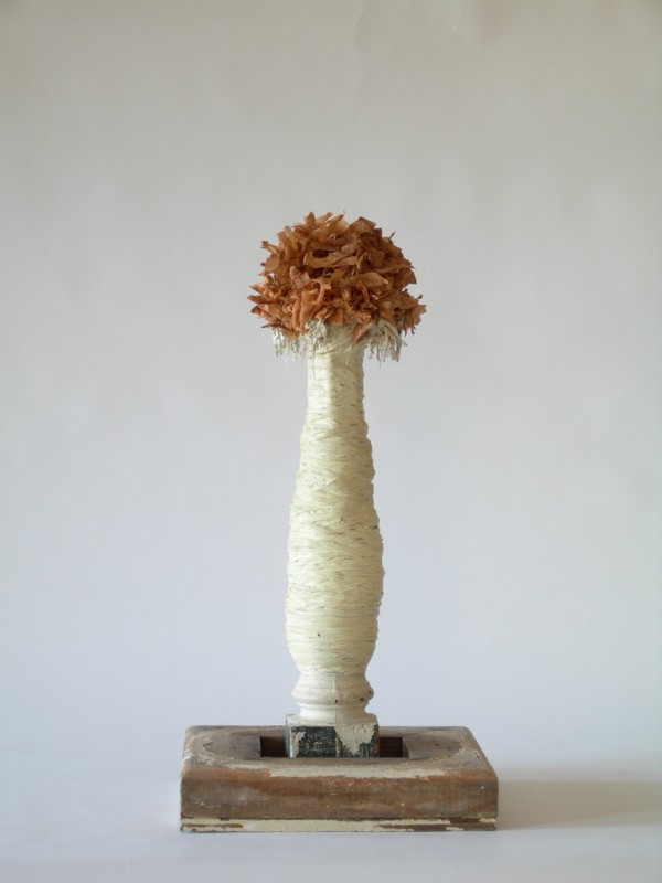 Flos Sacer by Brenda Stumpf Studios