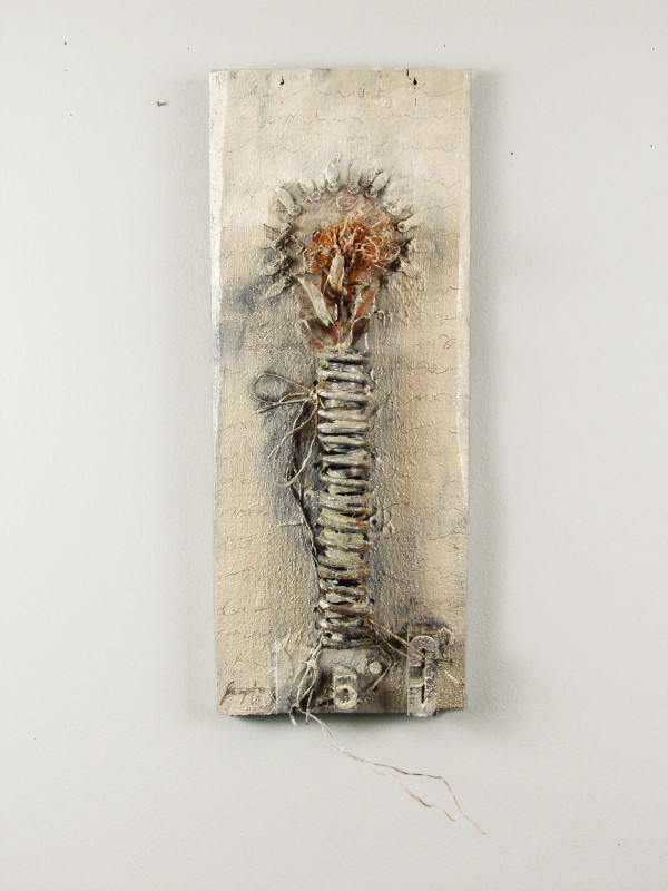 John Christ, C by Brenda Stumpf Studios