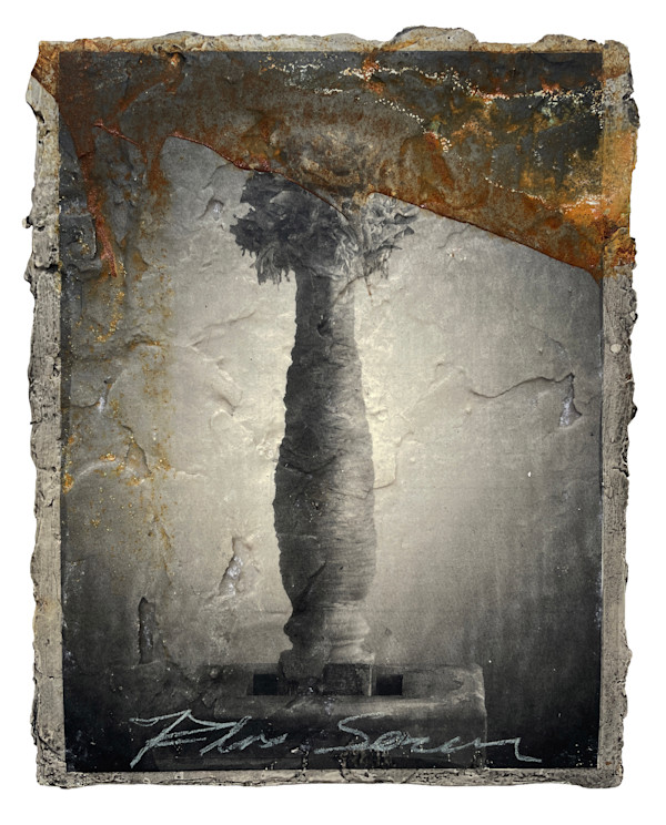 Oblation 2 (Flos Sacer) by Brenda Stumpf, Image 1.