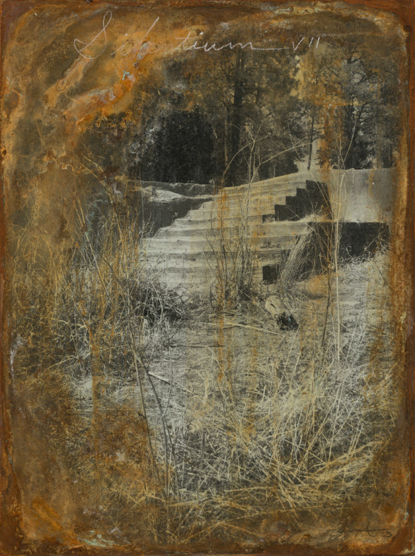 Silentium VII by Brenda Stumpf Studios