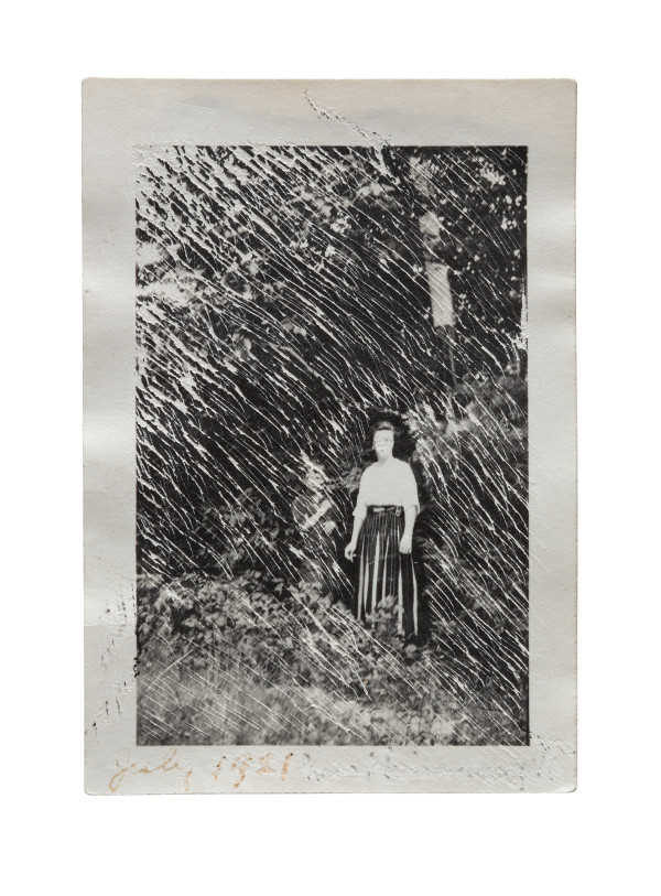 Discover by Brenda Stumpf Studios